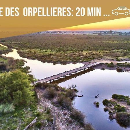 Centre Historique - Free Parking - Self Checkin - Wifi - Industriel - Sleepntripbeziers Apartamento Exterior foto