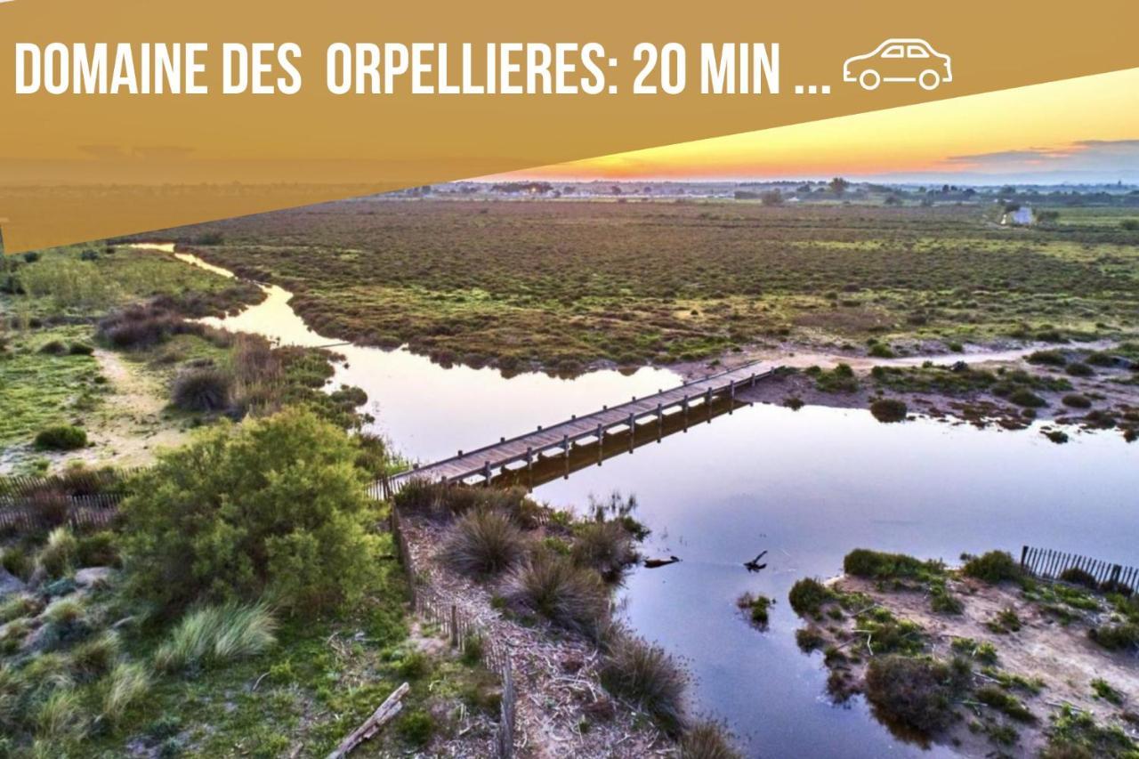 Centre Historique - Free Parking - Self Checkin - Wifi - Industriel - Sleepntripbeziers Apartamento Exterior foto